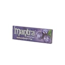 Mantra Papers Blueberry 1 1/4*